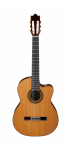 Ibanez_G300CE_NT.png