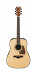 Ibanez_AW500_NT.png
