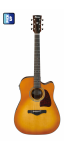 Ibanez_AW400CE_LVG.png