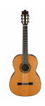 Ibanez_G500_NT.png