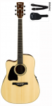 Ibanez_AW300LECE_NT.png