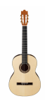 Ibanez_G10_NT.png