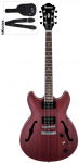 Ibanez_AS53_TRF.png