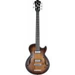 Ibanez_Bass__AGBV205A_TCL.png