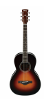 Ibanez_AVN1_BS.png