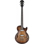 Ibanez_AGBV200A.png