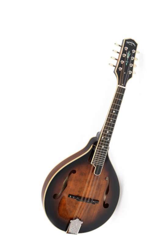 Hochwertige verstellbare Palisander Mandoline Gitarre Bruecke fuer Mandoline P1 