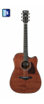 Ibanez_AW450CE_RTB.png