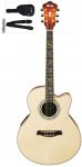 Ibanez_AEL40SE_RLV.png