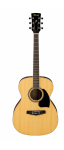 Ibanez_PC15-NT.png