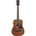 Ibanez_AW54MINEGB_OPN.png
