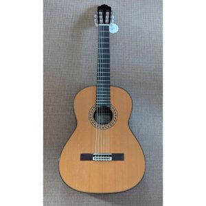 Esteve 8 CD Vollmassive Klassikgitarre in Standardgröße