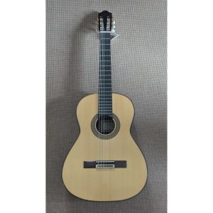Esteve Alegria SP Meistergitarre