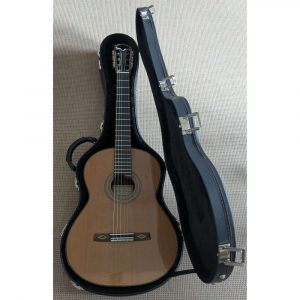 Hanika New Century DTL Meistergitarre Doubletop gebraucht