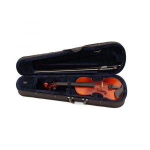 Violinen/Geigen