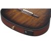 Ibanez FRH20SMN-TCL Klassikgitarre mit Tonabnehmer – Bild 2