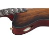 Ibanez FRH20SMN-TCL Klassikgitarre mit Tonabnehmer – Bild 6