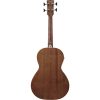 Ibanez PNB14E-OPN Akustikbass Short Scale 4-Saiter – Bild 2