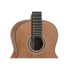 Manuel Rodriguez Ltd. Tesoro de Camerún Acústica CB-C Klassikgitarre – Bild 9