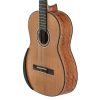 Manuel Rodriguez Ltd. Tesoro de Camerún Acústica CB-C Klassikgitarre – Bild 5